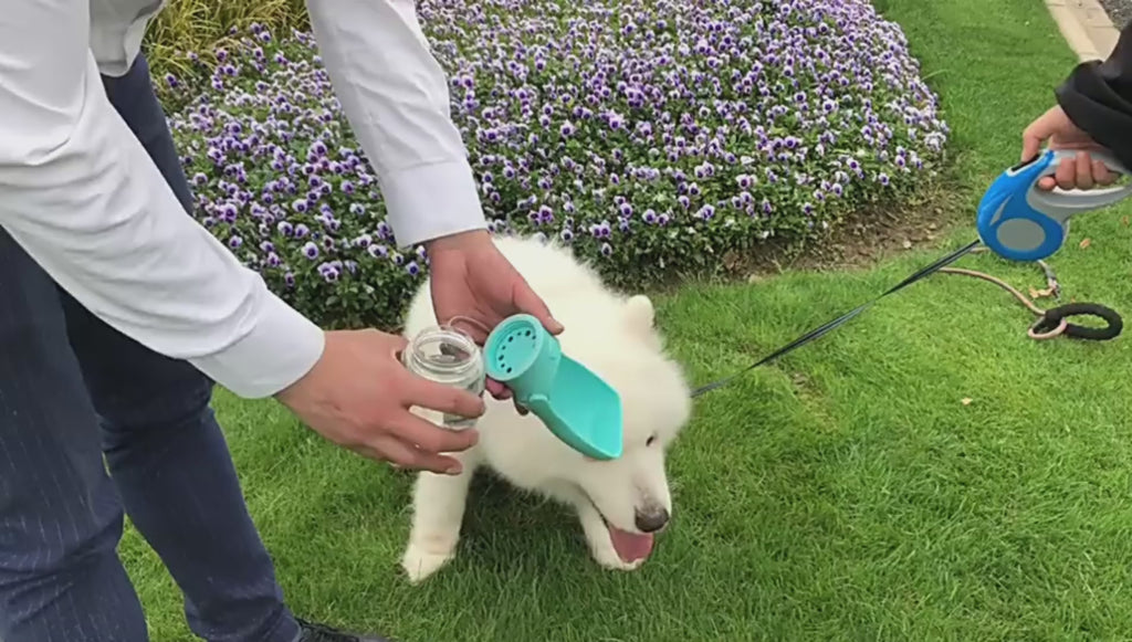 Portable Pet Water Bottle: 350ml Foldable Dispenser for Thirsty Adventures